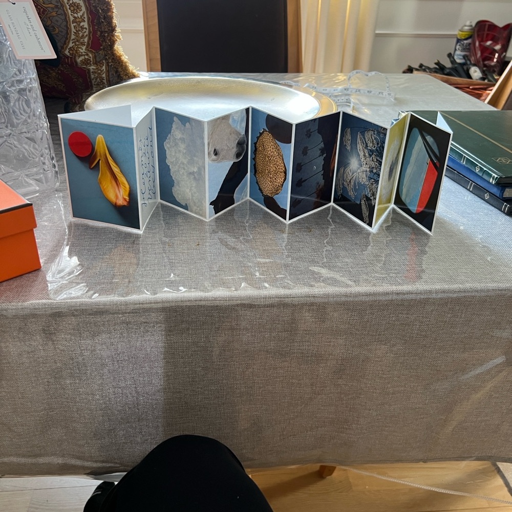 Hermes Artistic Accordion Photo Display. Gorgeous and will
Make your room pop!